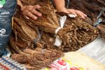 Como indústria do tabaco influencia educação e formação profissional no Paraná