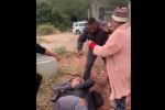 Idosa agredida por PM com soco na cara responde por lesão e desacato
