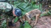 O cão herói e os bastidores do resgate das 4 crianças na selva da Colômbia