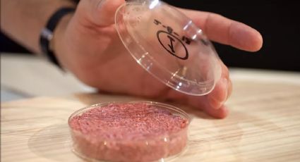 Carne criada em laboratório, que não é vegetariana, é liberada para consumo