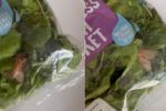 VÍDEO: mulher encontra inseto vivo dentro de pacote de verduras: "era meu almoço"