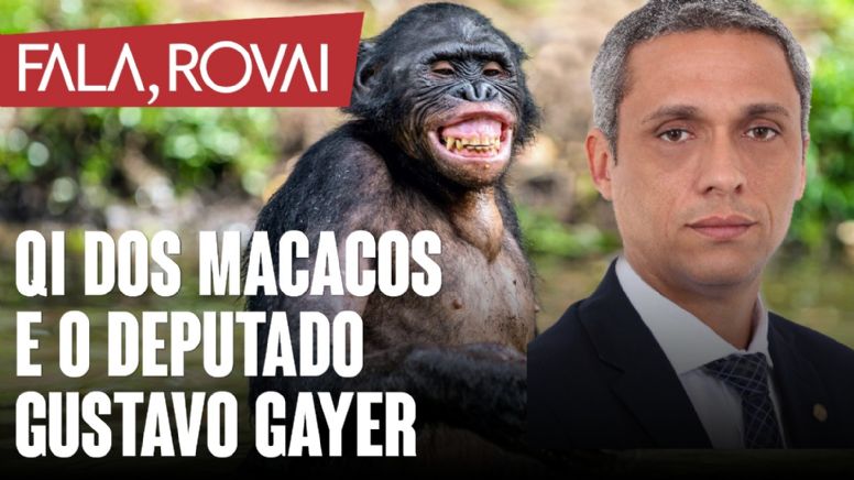 QI dos macacos e o deputado Gustavo Gayer