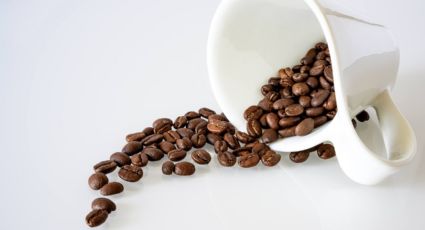 Qual a diferença entre café tradicional e extraforte? Conheça as classificações