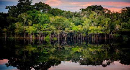 Por uma Amazônia produtiva e sustentável, por Raul Jungmann