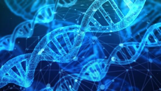 Terapia genética revolucionária salva vida de bebê nos EUA e abre portas para tratamentos raros