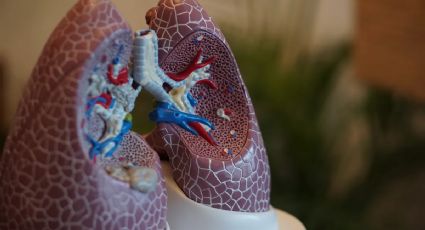 Estudo revela que estamos respirando microplásticos no ar; entenda