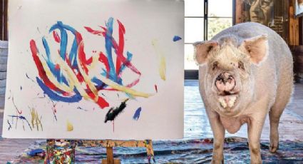 “Pigcasso”: Quem é a porca pintora que já vendeu quase R$ 5 milhões em arte