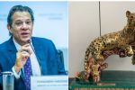 Haddad devolve onça de ouro que ganhou da Arábia Saudita; veja o que ele diz