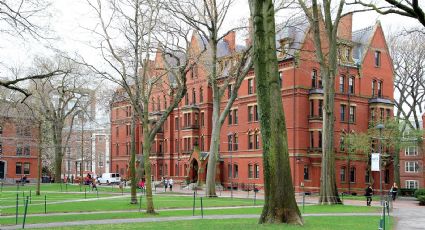 Por que Harvard, uma das melhores universidades do mundo, está sendo processada