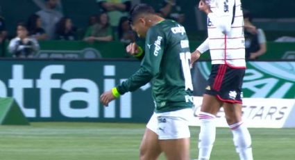 VÍDEO: Confusão de torcidas paralisa partida entre Palmeiras e Flamengo; veja imagens