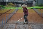 Como foi a reforma agrária e a eliminação da extrema pobreza na China