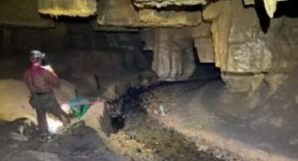 Fóssil de preguiça gigante é encontrado na maior caverna da Amazônia, no Pará