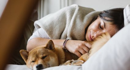 Tem costume de dormir com seu pet? Saiba se o hábito é indicado por especialistas