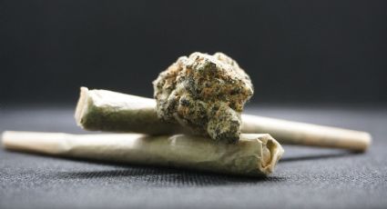 Maconha não causa transtornos psicóticos, sugere estudo internacional