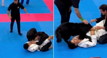 VÍDEO: Cãozinho emociona ao impedir torneio de jiujitsu para proteger seu dono