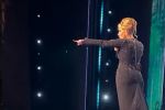 VÍDEO: Adele interrompe show para defender fã de segurança agressivo