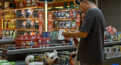 Geração Z impulsiona a próspera economia de pets na China