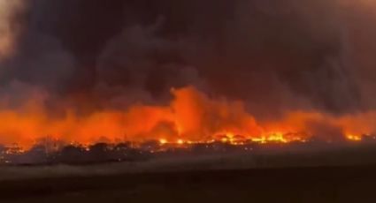 VÍDEO: Incêndios florestais devastadores forçam pessoas a se atirar no mar no Havaí