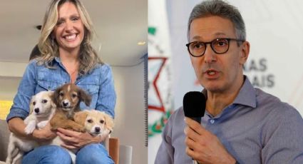 Zema quer aumentar tributos para ração de pets; Luisa Mell se indigna: “Absurdo”