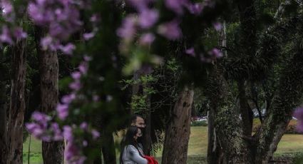 Que dia começa a primavera? Veja dia e horário da nova estação