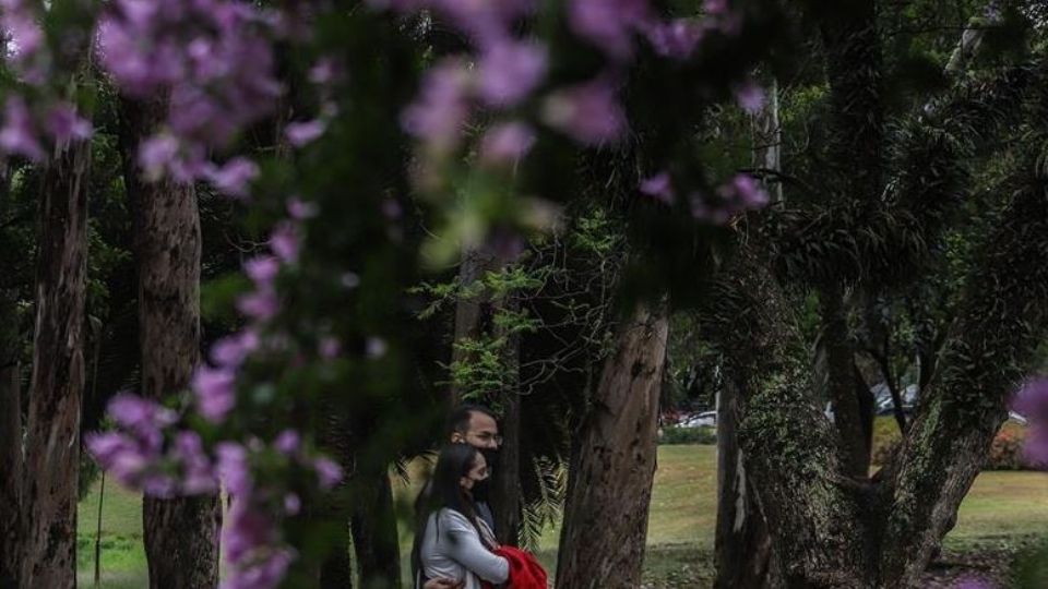 Primavera é considerada a época dos namorados e das flores