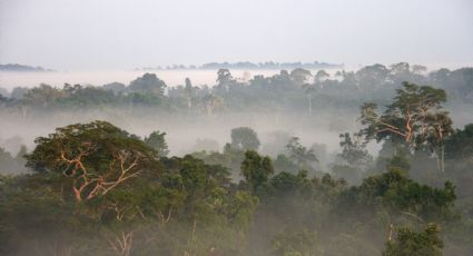 Mudanças climáticas, geopolítica e créditos de carbono - Por Ricardo Soberón