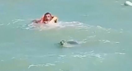 VÍDEO: Foca ataca banhistas em vídeo assustador