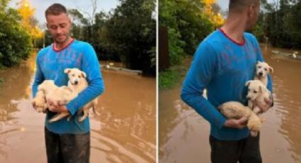 Homem emociona ao salvar cãezinhos em meio às enchentes no RS