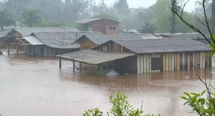 CENAS FORTES: Ovelha fica pendurada em fiação por causa do ciclone extratropical