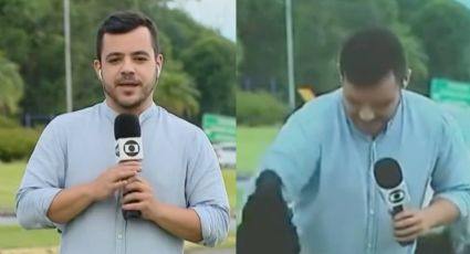 VÍDEO: Cachorrinho interrompe reportagem para pedir carinho