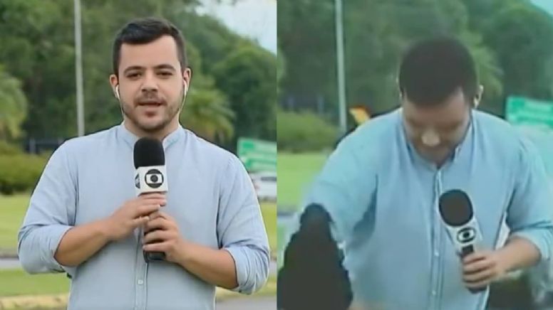 VÍDEO: Cachorrinho interrompe reportagem para pedir carinho