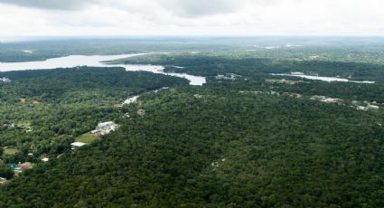 Amazônia pode entrar em colapso irreversível até 2050, aponta estudo