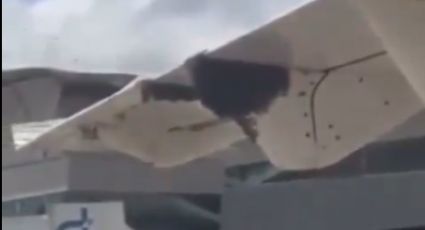 VÍDEO – Impressionante enxame de abelhas invade asa de avião e desembarque atrasa 1 hora