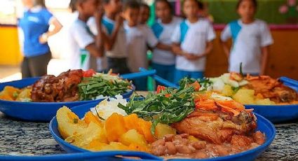 Governo Lula investe R$ 625 milhões em alimentação escolar no Sul