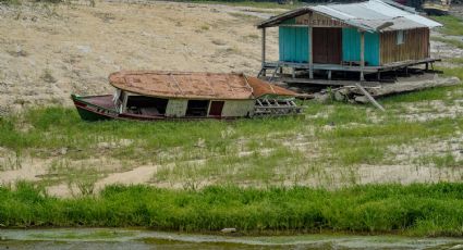 Mudanças climáticas: seca na Amazônia aumenta 2000% e potencializa queimadas