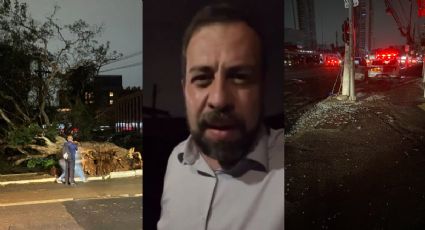 Temporal em SP: pessoa morre por queda de árvore no bairro de Boulos, que culpa Nunes pelo caos