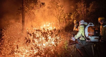 "Dia do fogo": Crescimento de 150% nas queimadas em 9 meses entra na mira da AGU