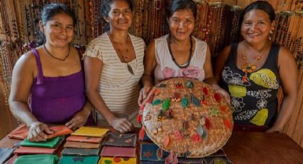 Bolsa Verde é lançado para 8 mil famílias em 11 unidades de conservação; confira