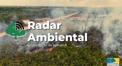 'Radar Ambiental': MP lança aplicativo para facilitar denúncias de crimes ambientais