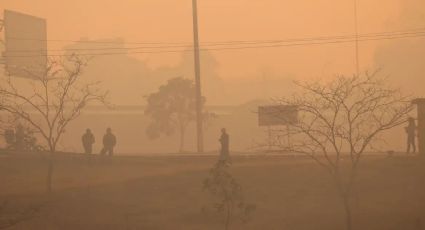 Fumaça de incêndios florestais pode estar causando a morte de mais de 12.000 pessoas anualmente