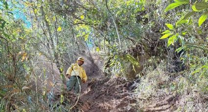 Exército é multado em R$ 6,5 milhões pelo ICMBio por incêndio em parque nacional