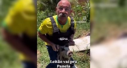 VÍDEO: Vereador bolsonarista tortura porco enquanto faz ameaças a Evandro Leitão