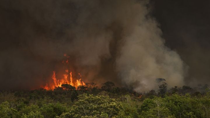 O Brasil queima e o agronegócio se expande - Por André Lobão