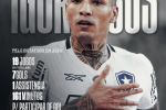 Foto ilustrativa de la nota titulada: Palmeiras e Botafogo podem decidir o Brasileiro dia 1 de Dezembro, em São Paulo