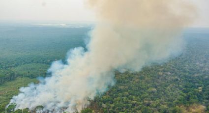 Brasil registra maior queda nas emissões de carbono dos últimos 15 anos