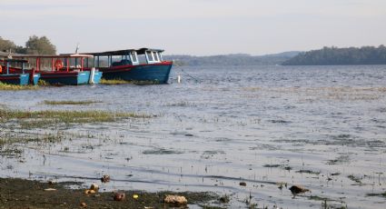 SOS Mata Atlântica convoca ação para proteger reserva ameaçada por poluição em SP