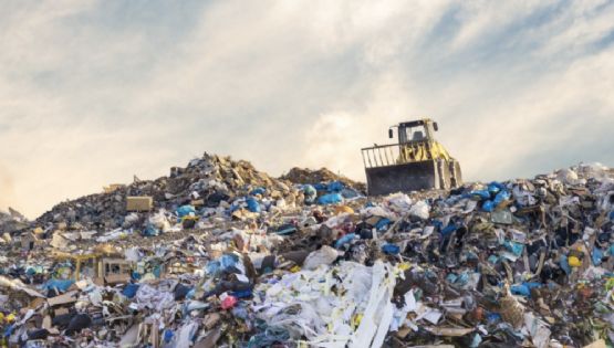 Brasil assina acordo para evitar que comida apodreça em aterros sanitários