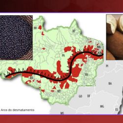 Projetos que podem transformar imagem da Amazônia são explicados ao mundo