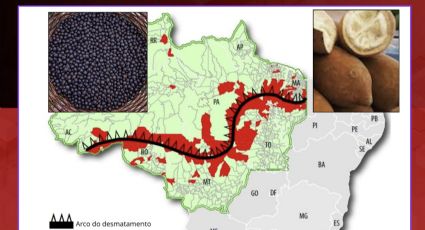 Projetos que podem transformar imagem da Amazônia são explicados ao mundo