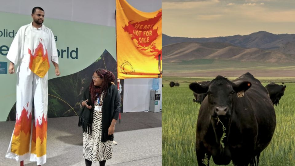Manifestantes brasileiros dizem que a Amazônia não está à venda, enquanto a JBS promove 'sustentabilidade' com lindas fotos do campo.